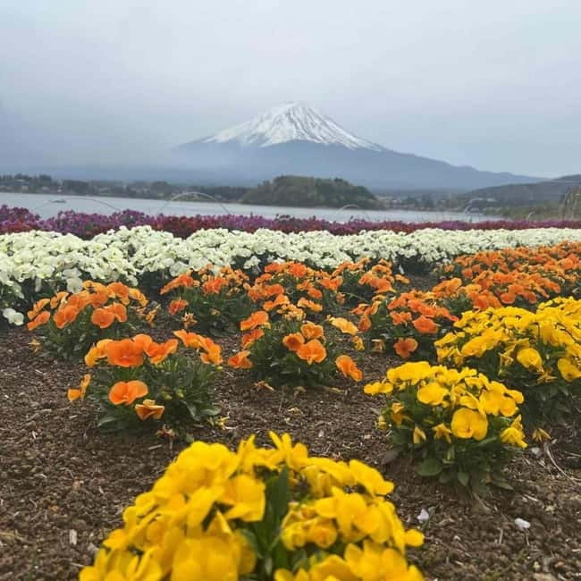 Mount Fuji Private day tour from Tokyo private & Customized - Kitaguchi-hongu Fuji Sengen Shrine and Fujiyoshida