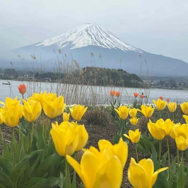 Mount Fuji Private day tour from Tokyo private & Customized - Planning a realistic 10-hour route