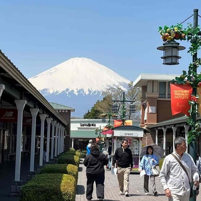Mount Fuji Private day tour from Tokyo private & Customized - What is included, and what can cost extra