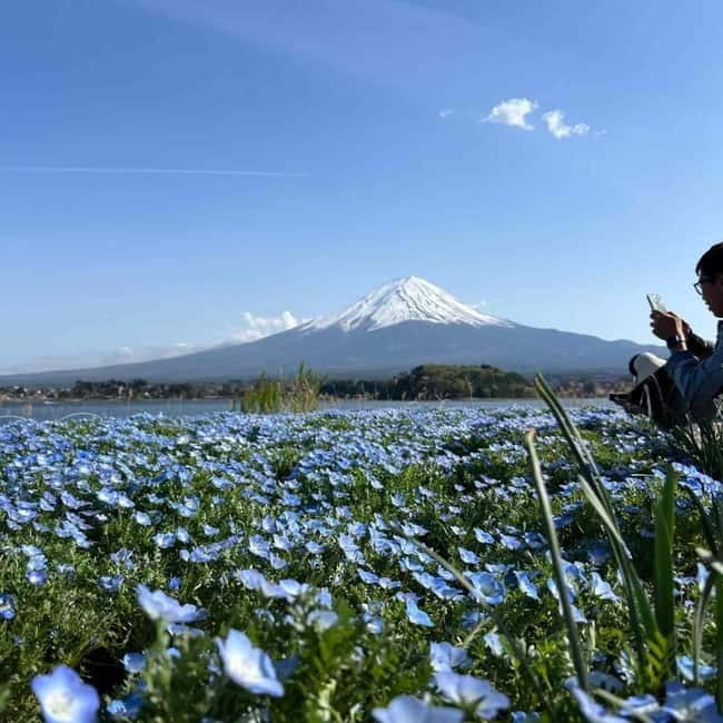 Mount Fuji Private day tour from Tokyo private & Customized - Chureito Pagoda and the famous Fuji photograph