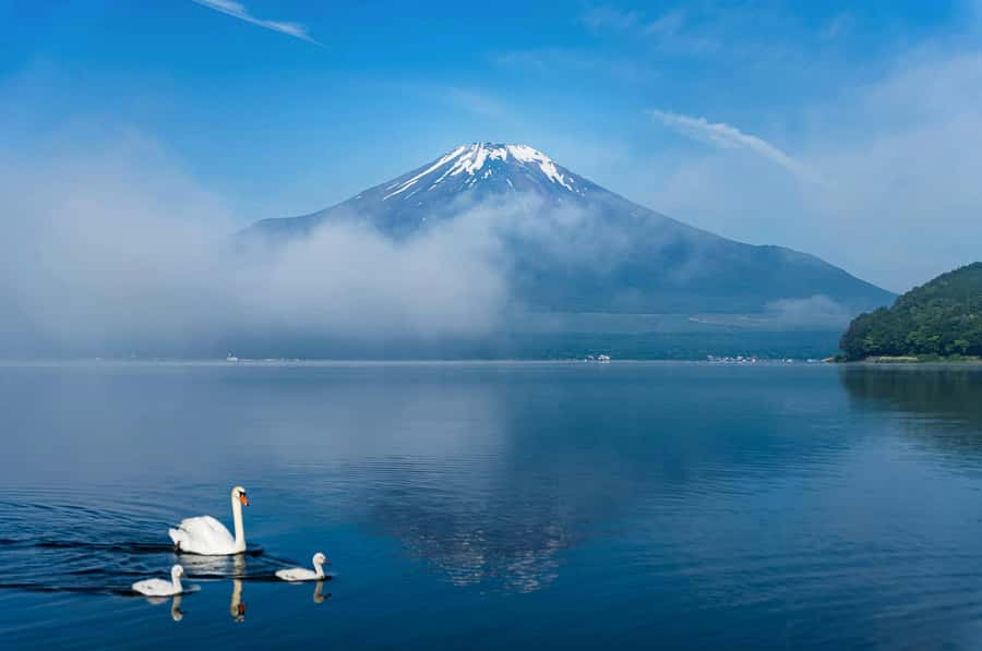 Mount Fuji Private Day Trip With Customizable Itinerary - Comfort, weather, and walking demands
