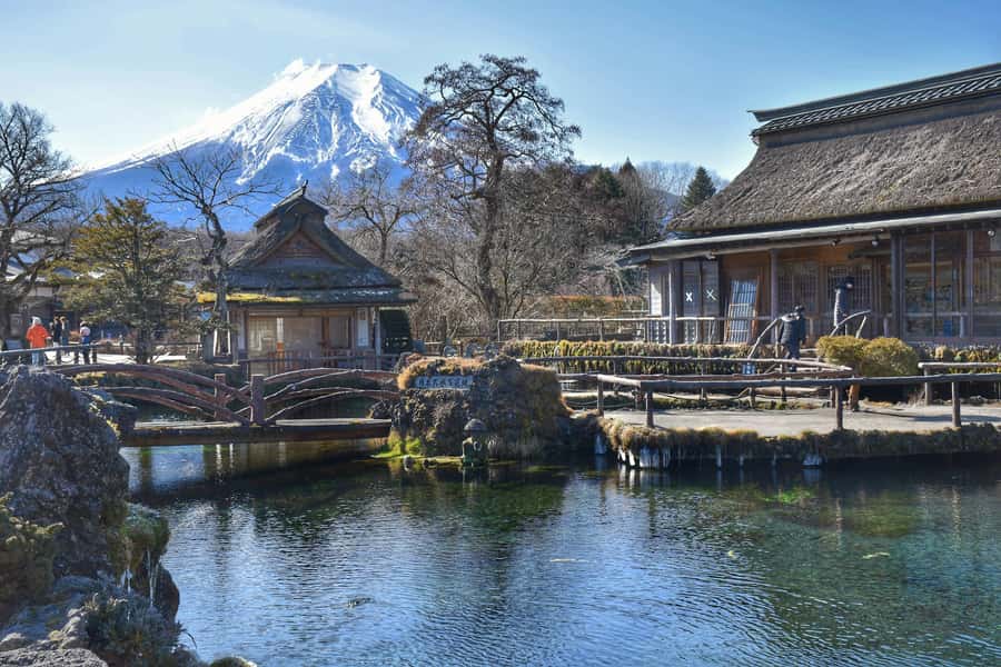 Mount Fuji Private Day Trip With Customizable Itinerary - Who will get the most from this private outing