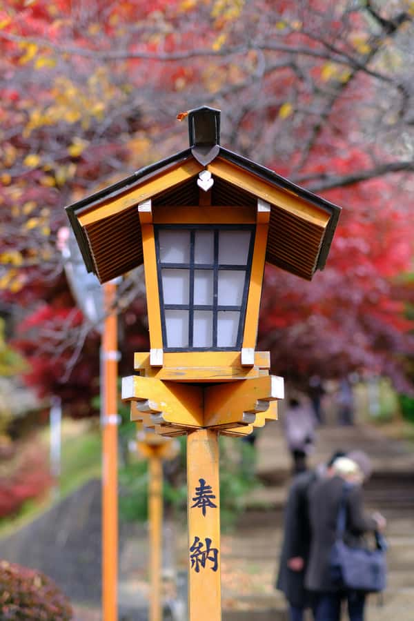 Mount Fuji Private Day Trip With Customizable Itinerary - Booking advice and final verdict