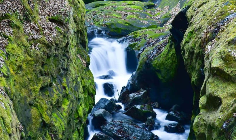 Mt. Aso & Takachiho Gorge Tour with Optional Boat Ride - Guides, communication, and the pace
