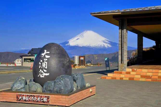 Mt Fuji and Hakone 1-Day Bus Tour Return by Bus - The Hakone Ropeway and its high views