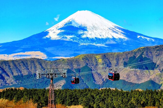 Mt Fuji and Hakone 1-Day Bus Tour Return by Bus - Weather, canceled activities, and realistic expectations