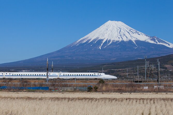 Mt. Fuji and Hakone Day Trip From Tokyo with Bullet Train Option - The big picture: a country day from Shinjuku