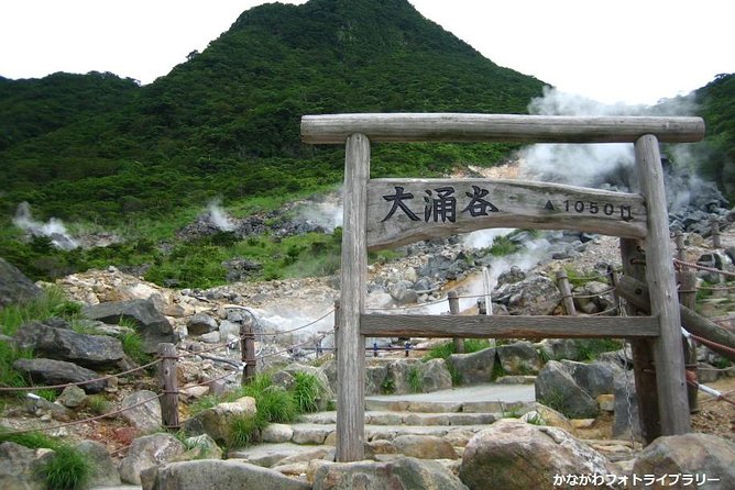 Mt. Fuji and Hakone Day Trip From Tokyo with Bullet Train Option - Riding the Hakone Ropeway over the hot springs