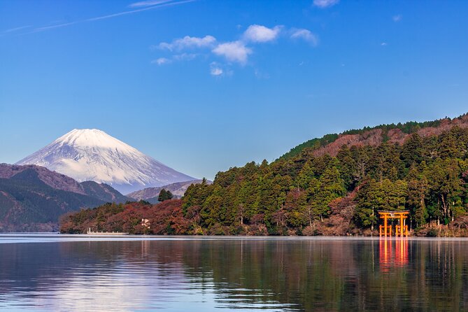 Mt. Fuji and Hakone Day Trip From Tokyo with Bullet Train Option - Lunch: convenient, but choose the option with care
