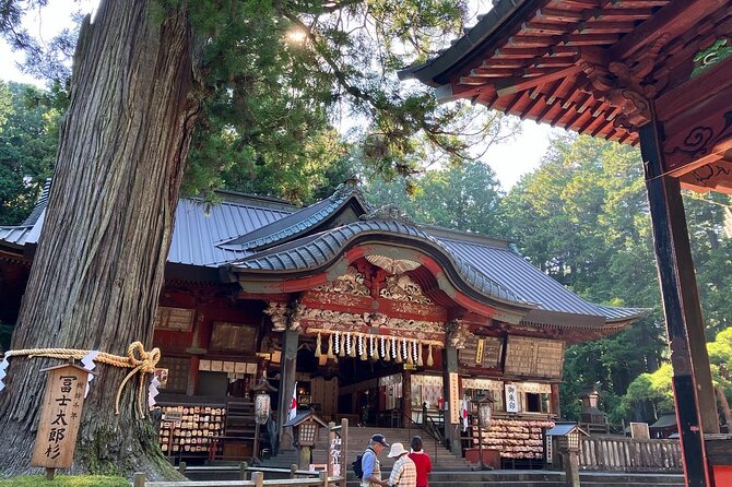Mt Fuji Area: In-depth Guided Adventure in English or French - Should You Book This Private Mt Fuji Tour?