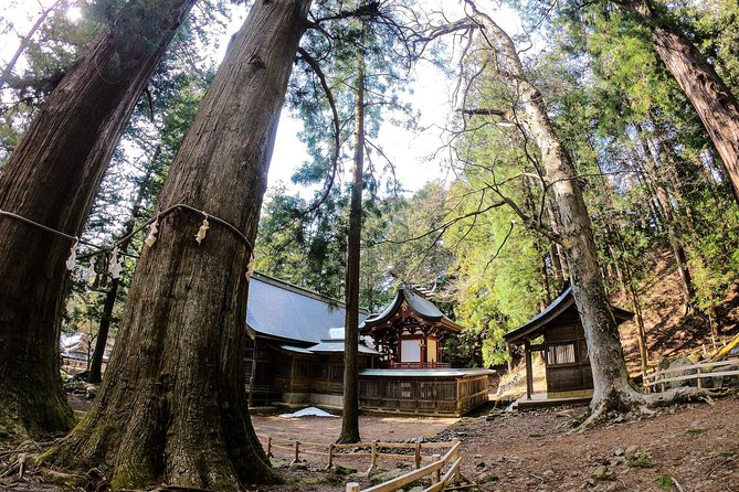 Mt Fuji Area Private Guided Tours in English-Nature up close, quiet, personal - Walking through Aokigahara, the Sea of Trees