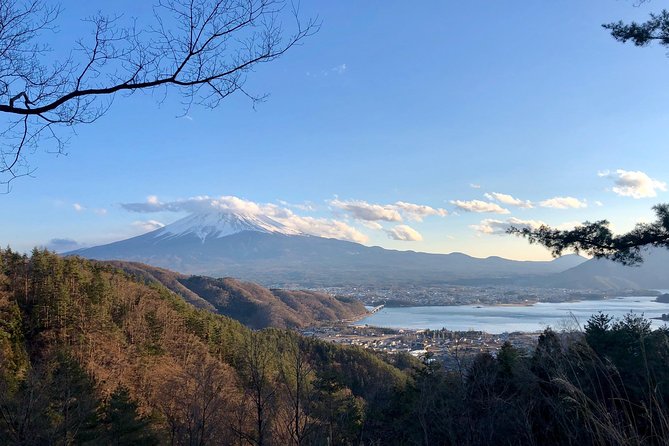 Mt Fuji Area Private Guided Tours in English-Nature up close, quiet, personal - Kawaguchi Asama Shrine and its 1,200-year-old cedars