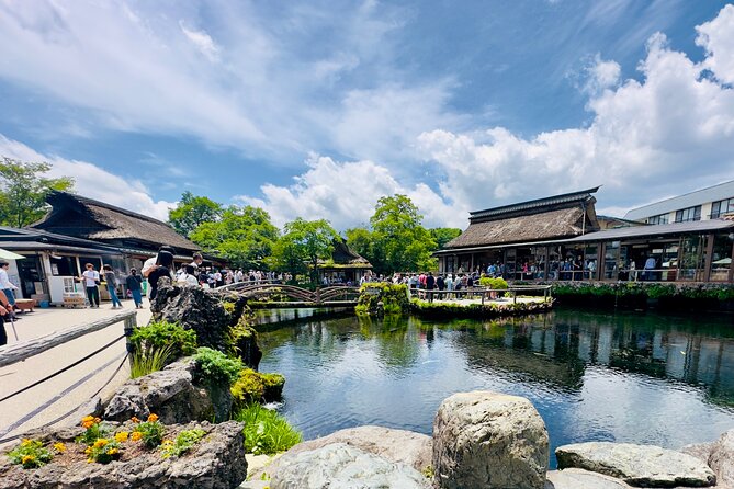 Mt. Fuji, Cherry Blossom & Shiba Sakura Pvt. Day Tour - Lake Kawaguchiko: choose a cruise, ropeway, or lakeside stop
