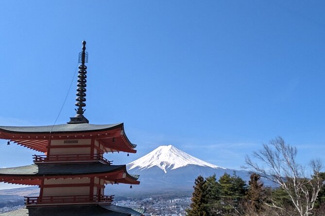 Mt. Fuji Day Trip from Tokyo with English Speaking Driver Guide - Why a private van makes sense from Tokyo