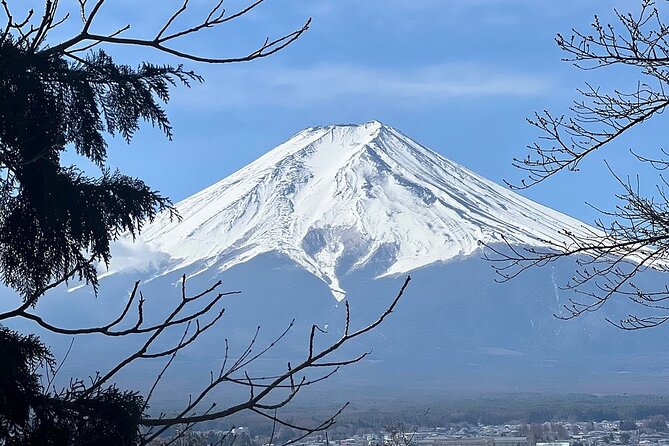 Mt. Fuji Day Trip from Tokyo with English Speaking Driver Guide - Oshino Hakkai shows an older side of the Fuji area