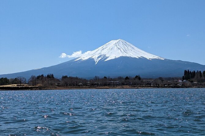 Mt. Fuji Day Trip from Tokyo with English Speaking Driver Guide - Lake Kawaguchiko gives you the classic Fuji view
