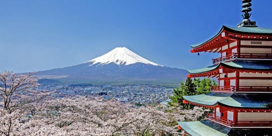 Mt. Fuji Drive Tour (Includes Visit to Local Speedway) - Timing, transport, and the real cost