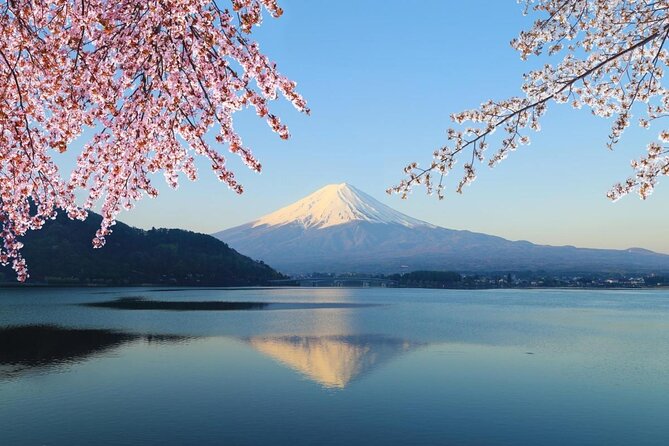 Mt Fuji & Hakone Cruise, Drum Show Bullet Train 1 Day from Tokyo - Key points to know before you book