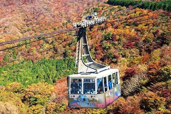 Mt Fuji & Hakone Cruise, Drum Show Bullet Train 1 Day from Tokyo - The Shinkansen finish at Odawara