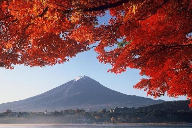 Mt Fuji & Hakone Cruise, Drum Show Bus 1 Day from Tokyo - Cruising Lake Ashi on the Sorakaze