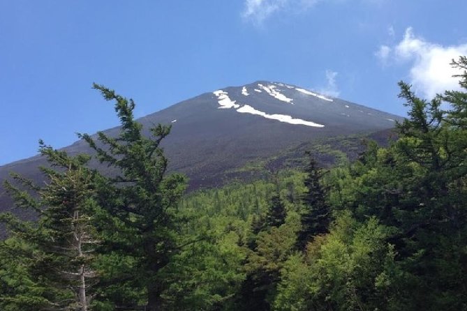 Mt Fuji & Hakone Cruise, Drum Show Bus 1 Day from Tokyo - How much value does the $122.55 price offer?