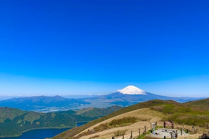 Mt Fuji & Hakone Cruise, Drum Show Bus 1 Day from Tokyo Sta. Area - Who should book this Fuji and Hakone day trip?