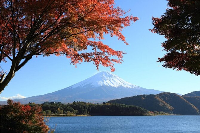 Mt Fuji & Hakone Cruise, Drum Show Bus 1 Day from Tokyo Sta. Area - Fuji Zakura Hotel and the optional lunch