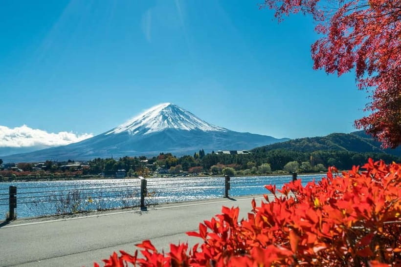 Mt.Fuji Hakone Day Tour With Lake Ashi Cruise, FREE Ropeway - Lake Yamanaka and the Swan Bay Photo Stop