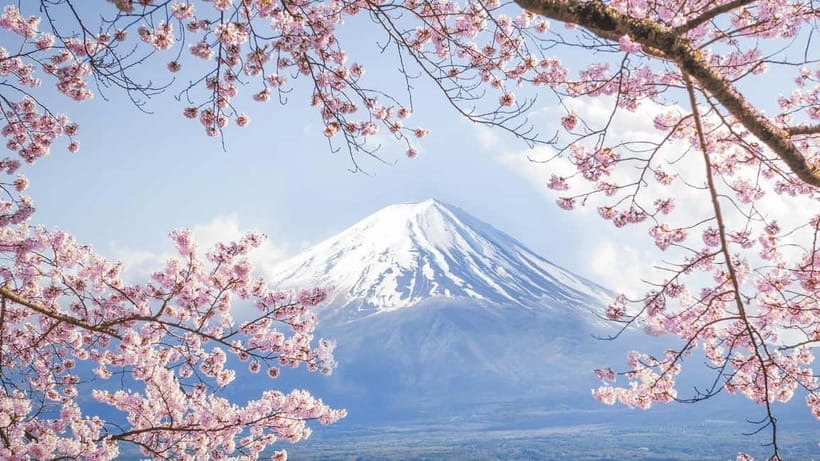 Mt.Fuji Hakone Day Tour With Lake Ashi Cruise, FREE Ropeway - Should You Book It?