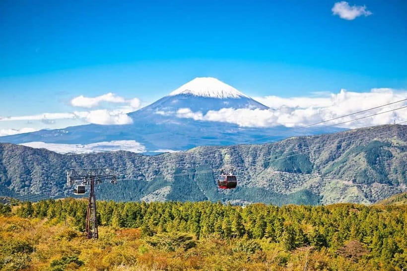 Mt.Fuji Hakone Day Tour With Lake Ashi Cruise, FREE Ropeway - Lake Ashi and the Optional Pirate Ship