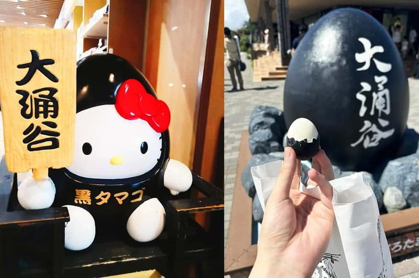 Mt Fuji Hakone/Enoshima Tour:Optional Ropeway/Lake Ashi Boat - What the $53 price really covers