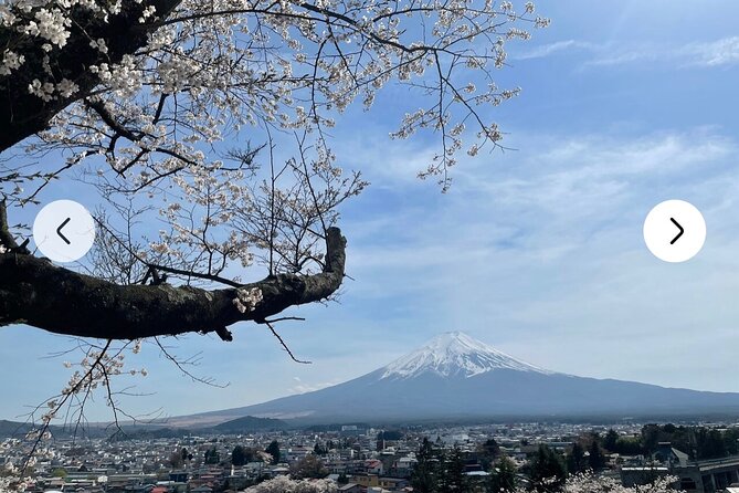 Mt. Fuji, Hakone Full-Day Private Tour with English Driver Guide - Lake Kawaguchiko and the Kachi Kachi viewpoint