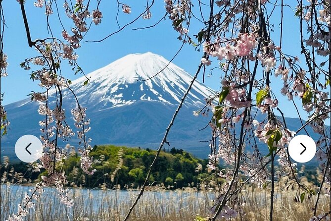 Mt. Fuji, Hakone Full-Day Private Tour with English Driver Guide - Shrines, pagoda views, and the Fuji Five Lakes area