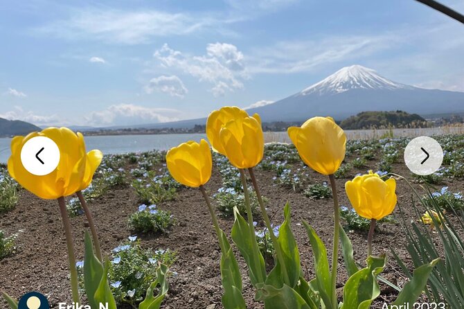 Mt. Fuji, Hakone Full-Day Private Tour with English Driver Guide - Owakudani and the black eggs of Hakone