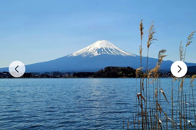 Mt. Fuji, Hakone Full-Day Private Tour with English Driver Guide - Lake Ashi and Hakone Shrine