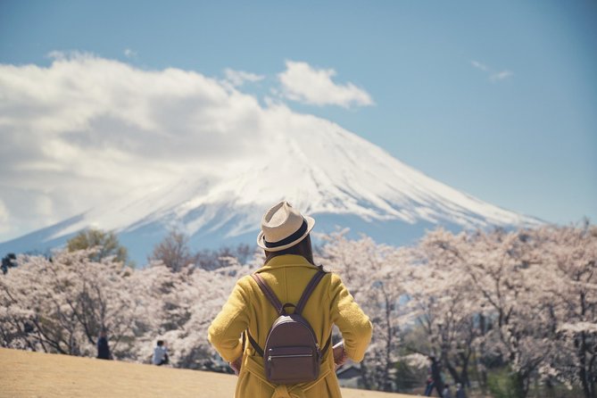 Mt. Fuji & Hakone Private Day Tour with English-Speaking Driver - What the $453.56 group price really buys