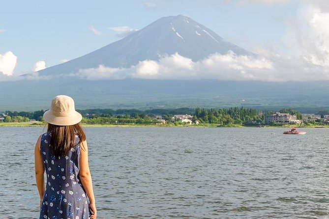 Mt. Fuji & Hakone Private Day Tour with English-Speaking Driver - Open-Air Museum or Gotemba outlets