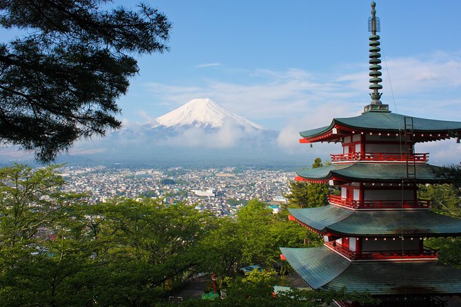 Mt. Fuji & Hakone Private Day Tour with English-Speaking Driver - The 5th Station and Fuji viewpoints