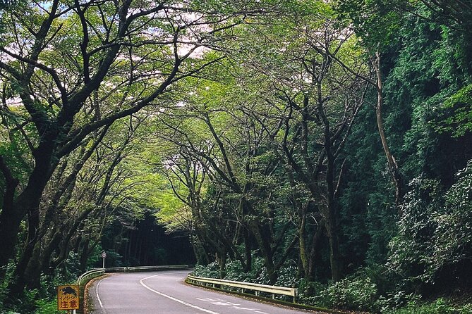 Mt. Fuji, Hakone Private Tour from Tokyo - Onsen, Arts and Nature - Hakone Shrine and the red torii by Lake Ashi