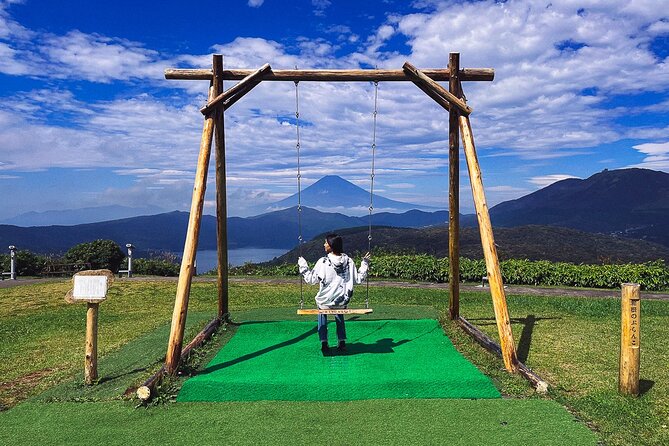 Mt. Fuji, Hakone Private Tour from Tokyo - Onsen, Arts and Nature - Hakone Open-Air Museum: art, gardens, and weather