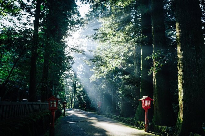 Mt. Fuji, Hakone Private Tour from Tokyo - Onsen, Arts and Nature - Pola Museum when the weather turns