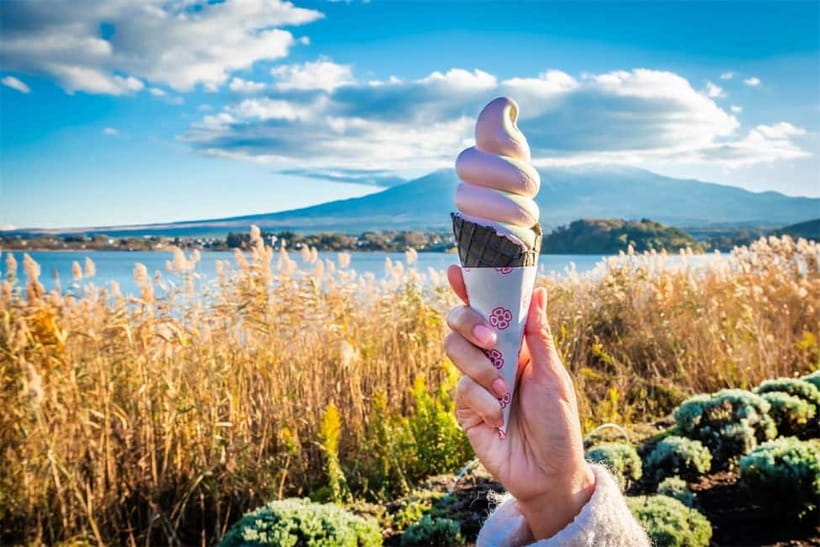 Mt. Fuji Heritage Tour: Traditional Villages, Lakes & Shrine - What the guides add to the day