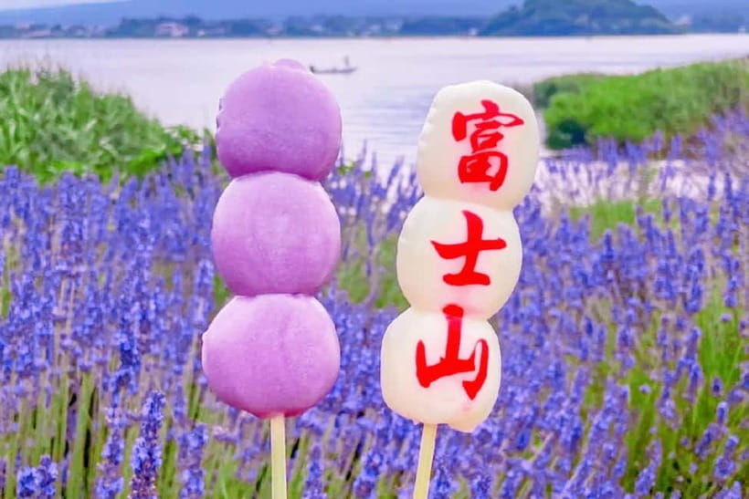 Mt. Fuji Heritage Tour: Traditional Villages, Lakes & Shrine - Who should book this Mt. Fuji tour?