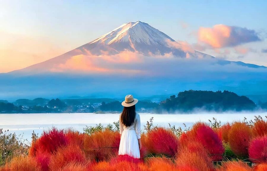 Mt. Fuji & Lake Kawaguchiko Ropeway Panorama Full-Day Tour - Five things to know before booking