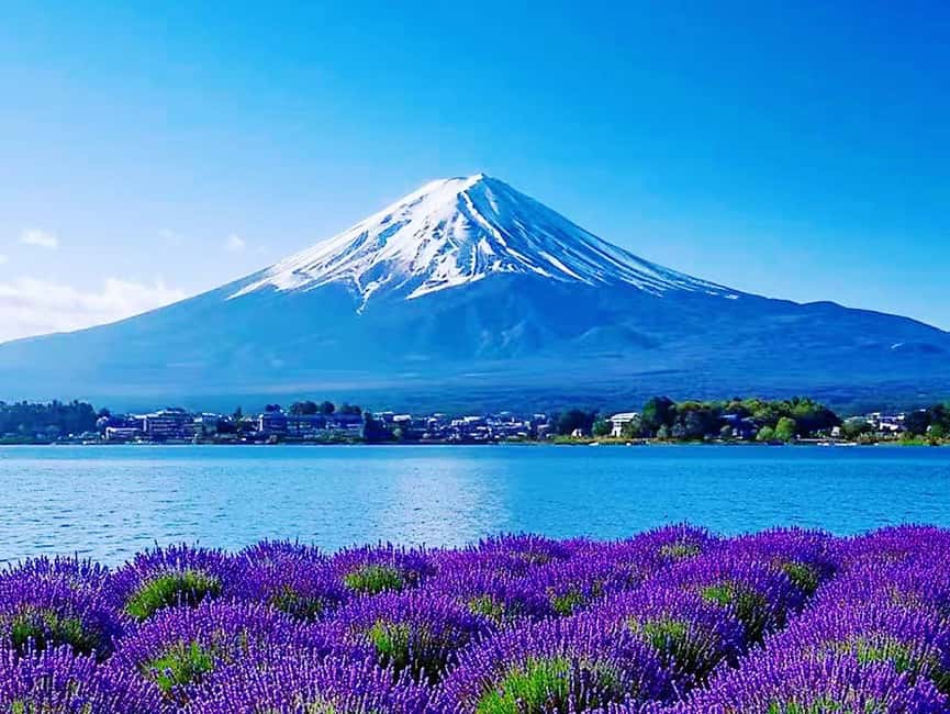 Mt. Fuji & Lake Kawaguchiko Ropeway Panorama Full-Day Tour - Who should book this Fuji day trip