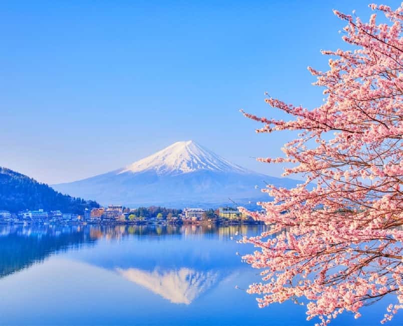 Mt. Fuji & Lake Kawaguchiko Ropeway Panorama Full-Day Tour - Why the ropeway makes a strong start