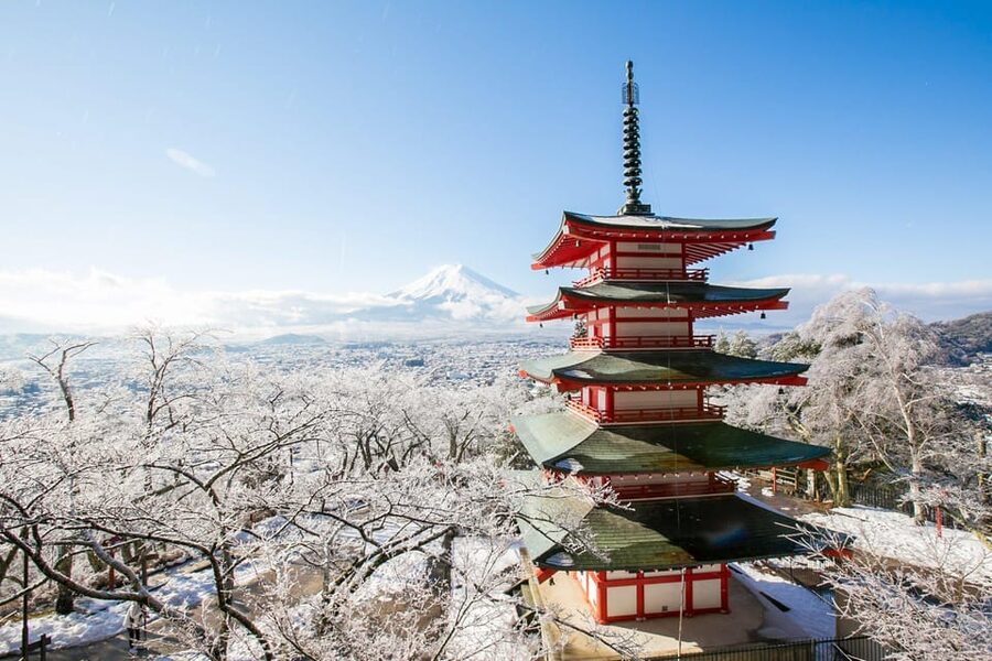 MT.Fuji: Mount Fuji Private day Tour With Guide - Kitaguchi-hongu Fuji Sengen Shrine and its old cedar grove