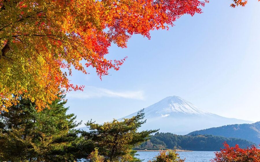 Mt Fuji : Private 10-Hour Luxury Tour by Exclusive Car - What $529 covers, and what it does not