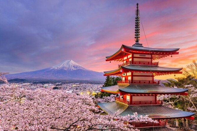 Mt Fuji Private Tour with English Speaking Driver - The journey from Tokyo to Fuji country