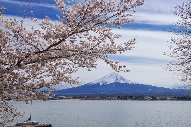 Mt Fuji Private Tour with English Speaking Driver - The Mt. Fuji Panoramic Ropeway